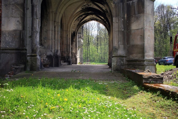 Pałac i park Schaffgotschów w Kopicach. Akcja sprzątania