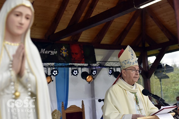 Abp Stanisław Gądecki w czasie głoszenia homilii w polanickim sanktuarium.