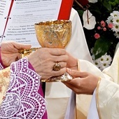 Święcenia kapłańskie w Gliwicach i Bytomiu