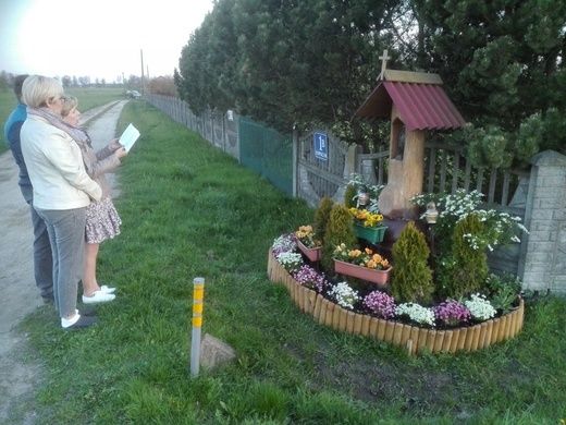 Łopacin. Kapliczka maryjna