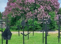 Zabytkowe groby żołnierskie z okresu I wojny światowej na cmentarzu przy ul. Granicznej w Opocznie.