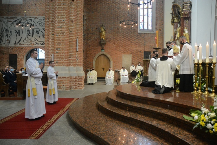 Święcenia kapłańskie w Opolu