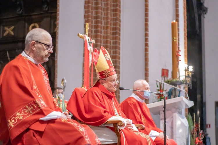 Gniazdko naprawię, chrztu udzielę…[GALERIA]