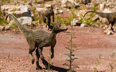 Wymieraniu dinozaurów towarzyszyło wymieranie ssaków