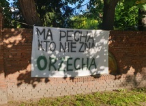 "Orzechowa" ul. Bujwida