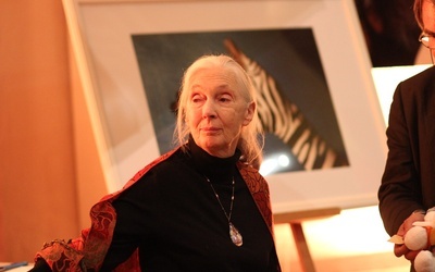 "Katolicki Nobel" dla Jane Goodall