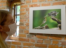 ▲	Wybrane prace można oglądać do 31 sierpnia.