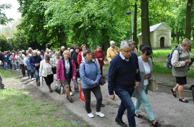 Pielgrzymka Franciszkańskiego Zakonu Świeckich na Górę Świętej Anny