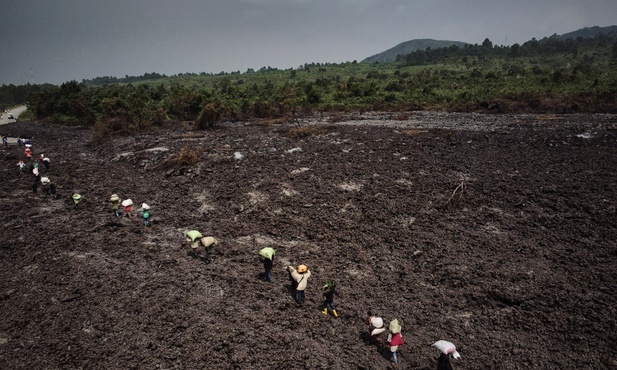DR Konga: 280 tys. dzieci może stracić domy