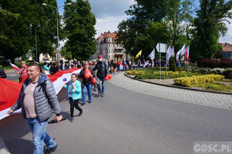 II Marsz dla Życia i Rodziny w Żarach