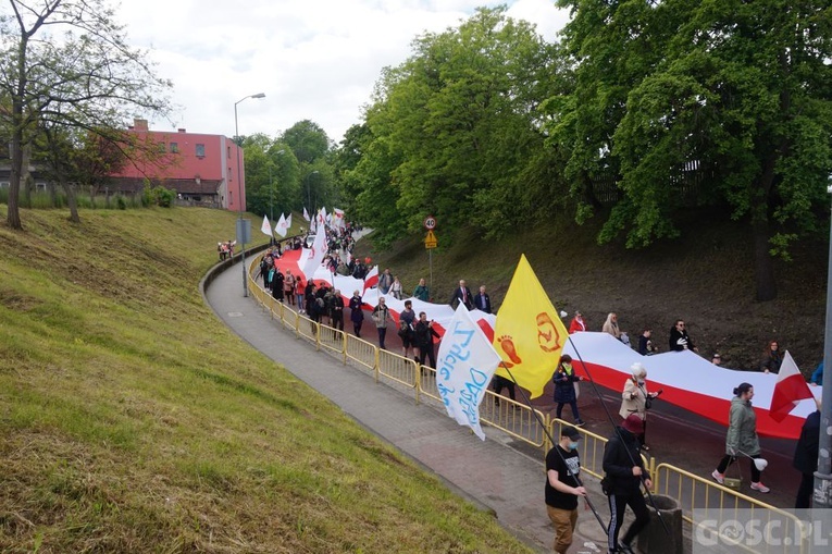 II Marsz dla Życia i Rodziny w Żarach