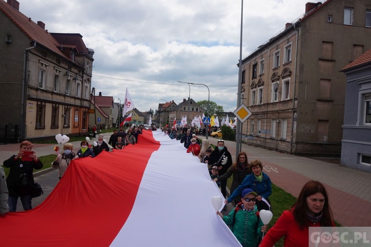 II Marsz dla Życia i Rodziny w Żarach