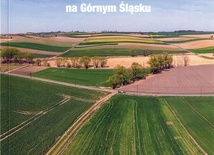 ▲	Marek Bednarek, Krzysztof Spychała, Osadnictwo celtyckie na Górnym Śląsku, Narodowy Instytut Dziedzictwa, Opole 2020, ss. 172.