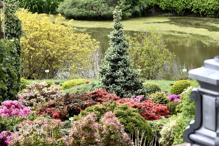 Majówka w Arboretum z biskupem
