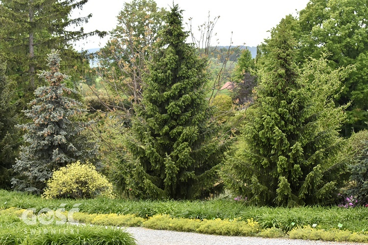 Majówka w Arboretum z biskupem