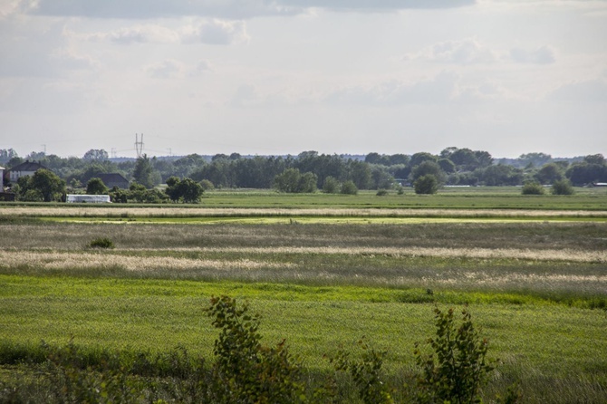 Wiślisko pod kopcem