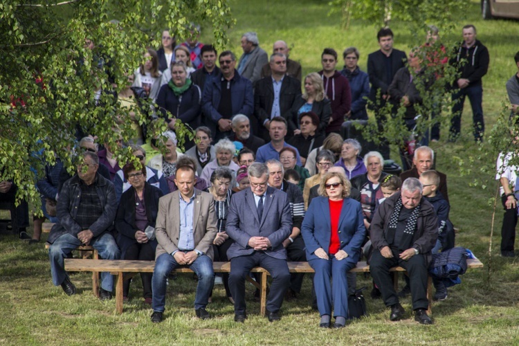 Wiślisko pod kopcem