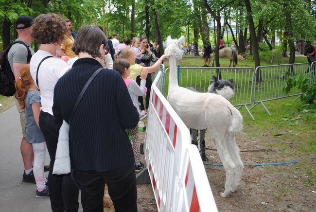 Stalowa Wola. Dzień Dziecka z przygodami