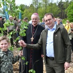 Akcja "Łączą nas drzewa"