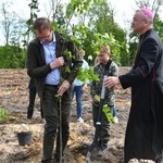 Akcja "Łączą nas drzewa"