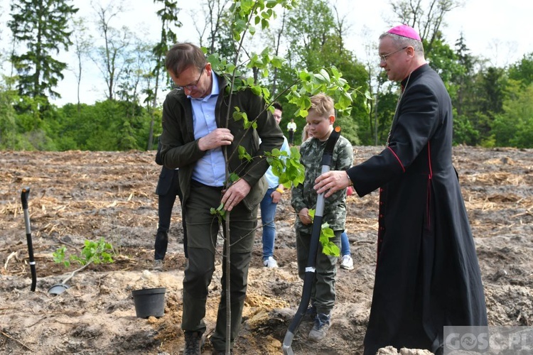 Akcja "Łączą nas drzewa"