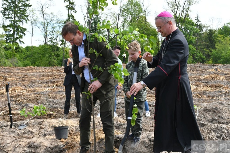 Akcja "Łączą nas drzewa"