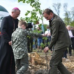 Akcja "Łączą nas drzewa"