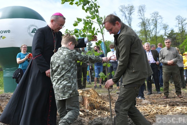 Akcja "Łączą nas drzewa"