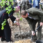 Akcja "Łączą nas drzewa"