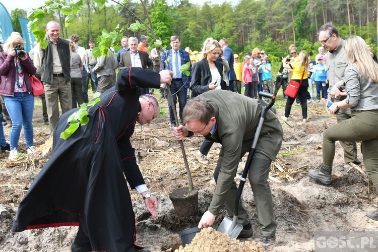 Akcja "Łączą nas drzewa"