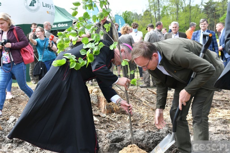 Akcja "Łączą nas drzewa"