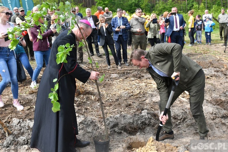 Akcja "Łączą nas drzewa"