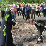 Akcja "Łączą nas drzewa"