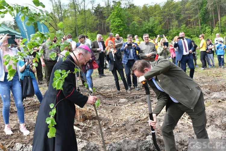 Akcja "Łączą nas drzewa"