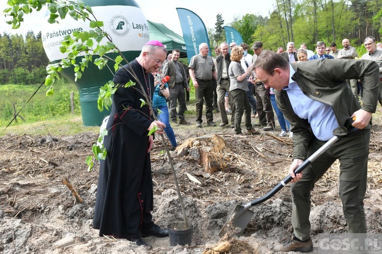 Akcja "Łączą nas drzewa"