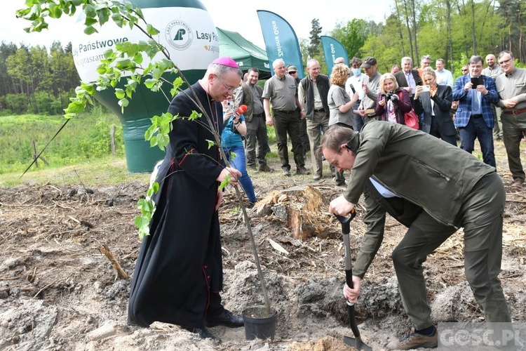 Akcja "Łączą nas drzewa"