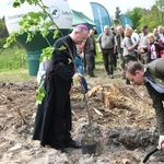 Akcja "Łączą nas drzewa"