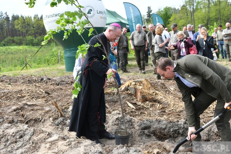 Akcja "Łączą nas drzewa"