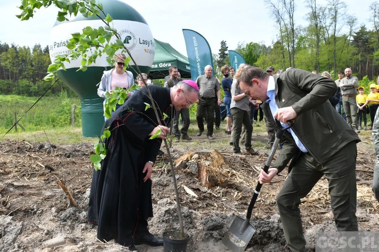 Akcja "Łączą nas drzewa"