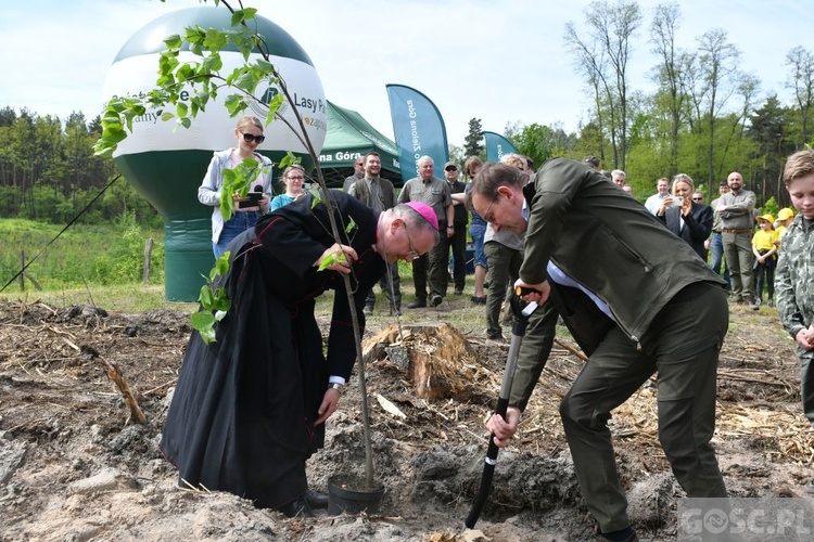 Akcja "Łączą nas drzewa"