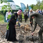 Akcja "Łączą nas drzewa"