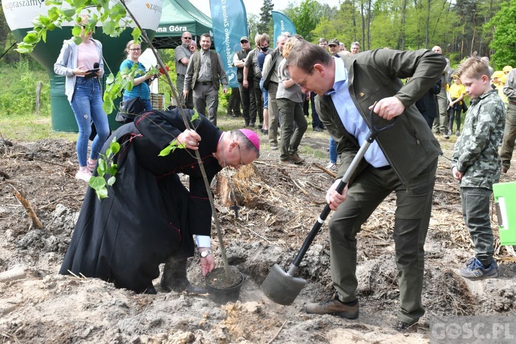 Akcja "Łączą nas drzewa"