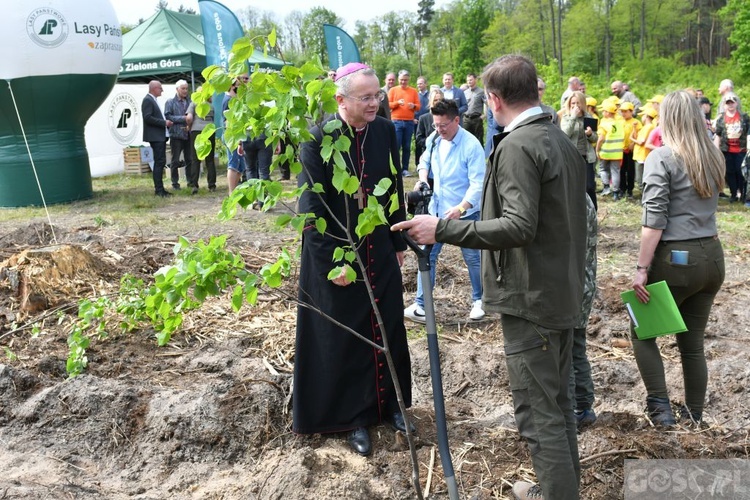 Akcja "Łączą nas drzewa"