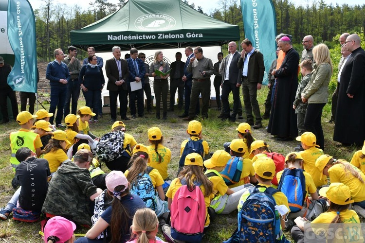 Akcja "Łączą nas drzewa"