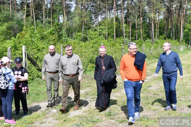 Akcja "Łączą nas drzewa"