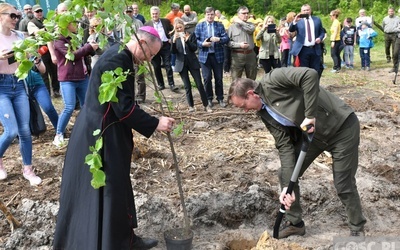 Akcja "Łączą nas drzewa"