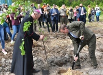 Akcja "Łączą nas drzewa"