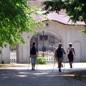 W sobotę indywidualna pielgrzymka nordic walking na Górę Świętej Anny