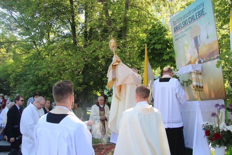 Boże Ciało u NMP Królowej Polski w Świdnicy