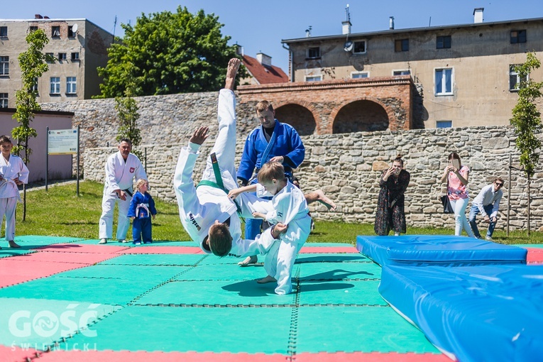 Piknik charytatywny dla chorej Amelki
